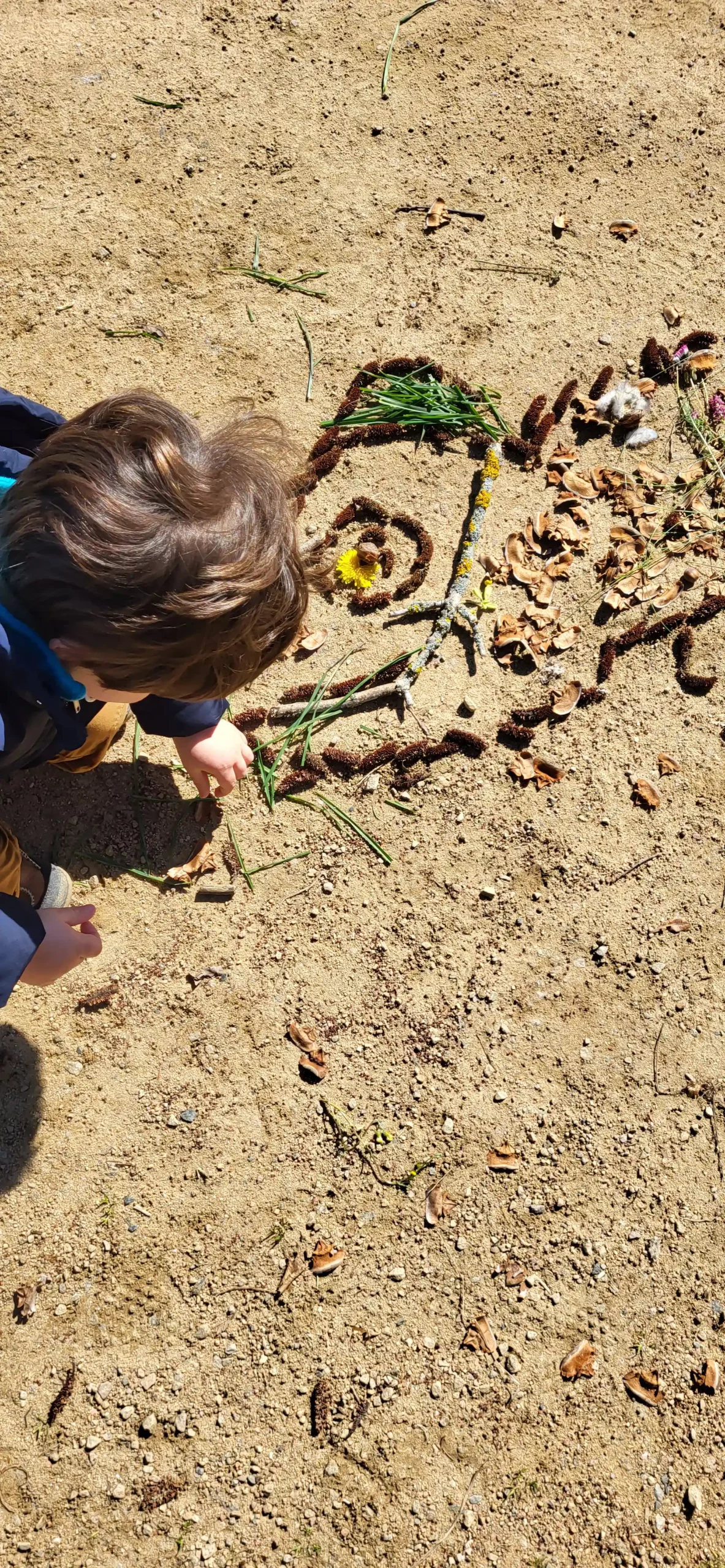 Caméléon réalisé en land art par les enfants en fin de promenade