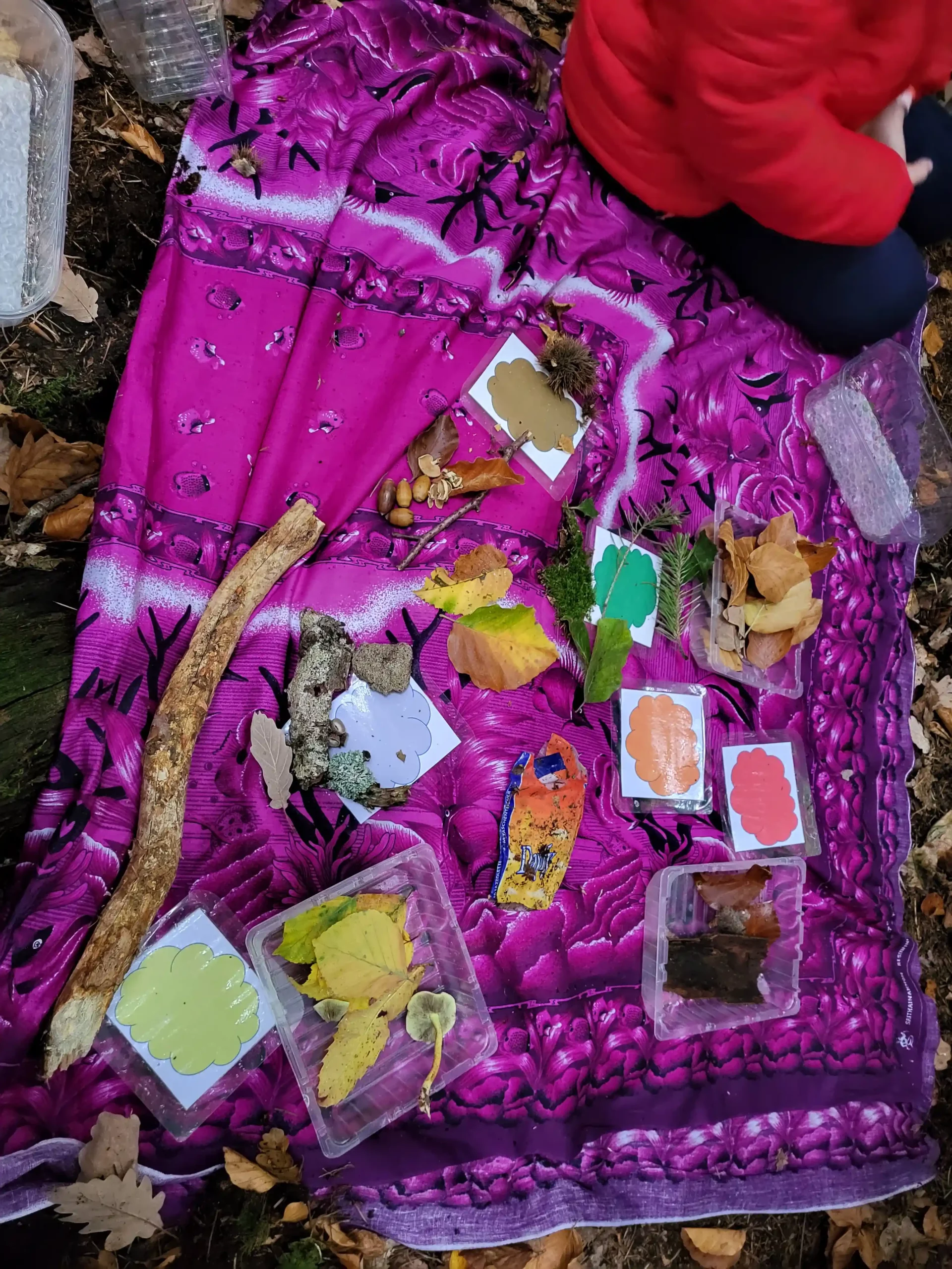 Trouvailles des enfants pendant la promenade